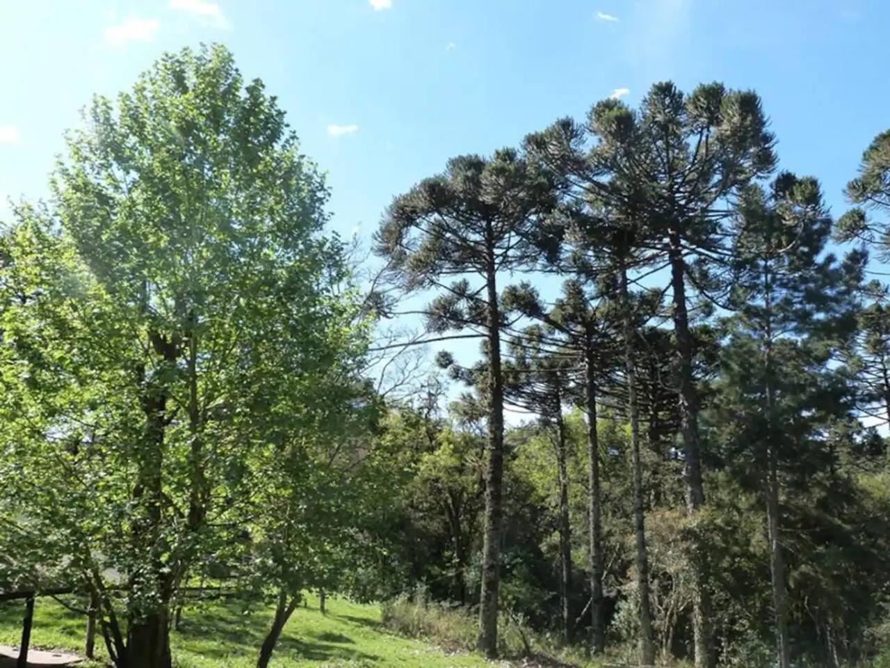 Casarao Da Cascata Villa Gramado Bagian luar foto