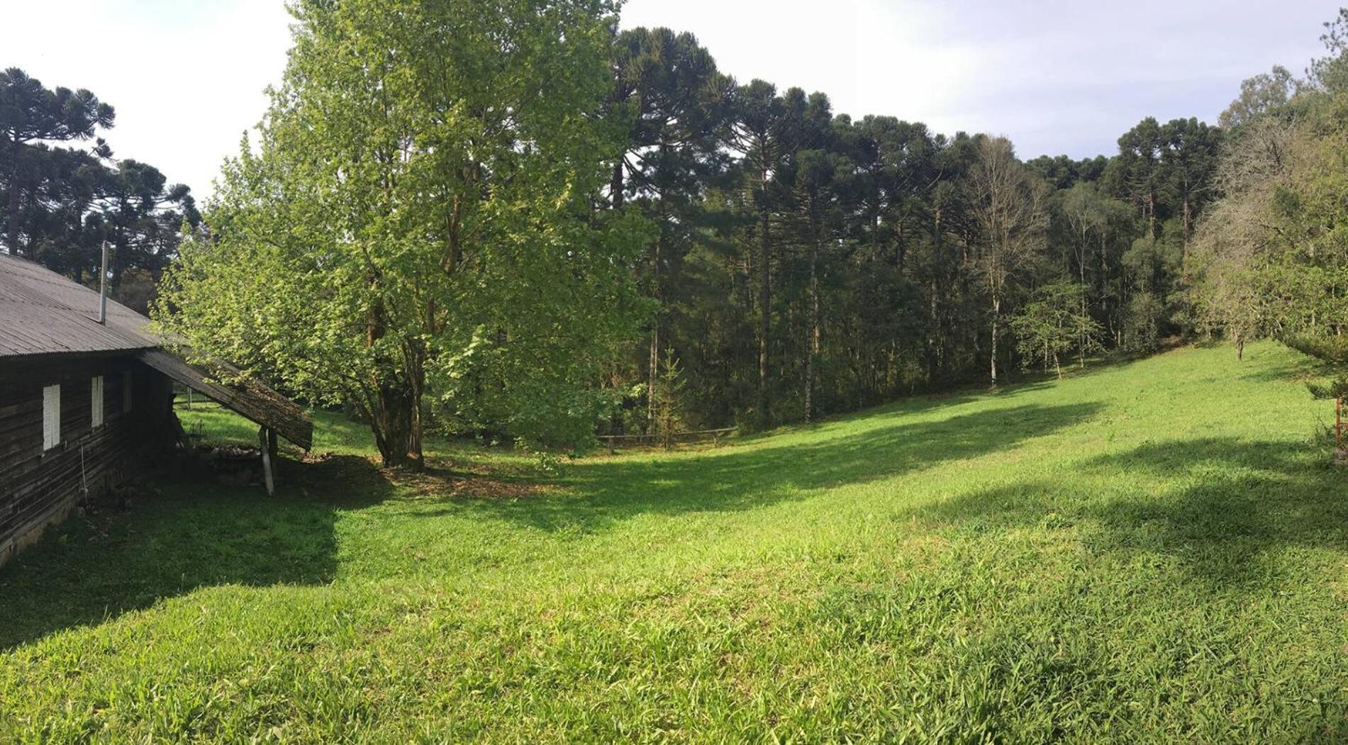 Casarao Da Cascata Villa Gramado Bagian luar foto